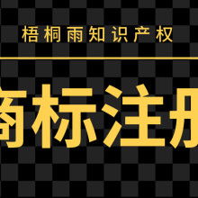 专业守护，智创未来——沈阳市梧桐雨知识产权代理公司全方位服务解析