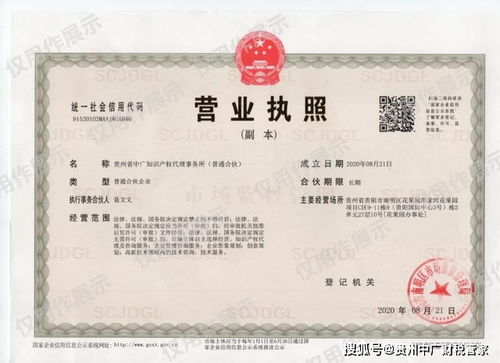 如何选择专业的知识产权代理机构 关键参考标准与服务指南